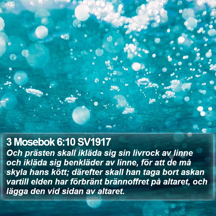 3 Mosebok 6:10 SV1917 Bible Study