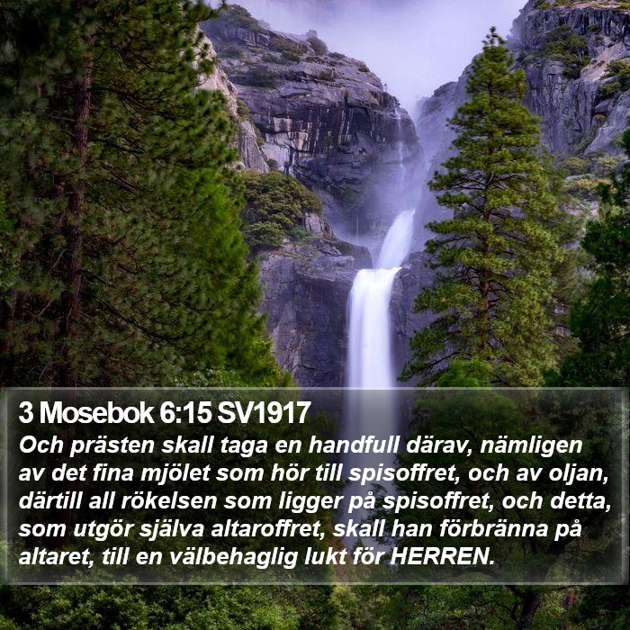 3 Mosebok 6:15 SV1917 Bible Study