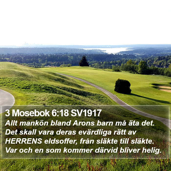 3 Mosebok 6:18 SV1917 Bible Study