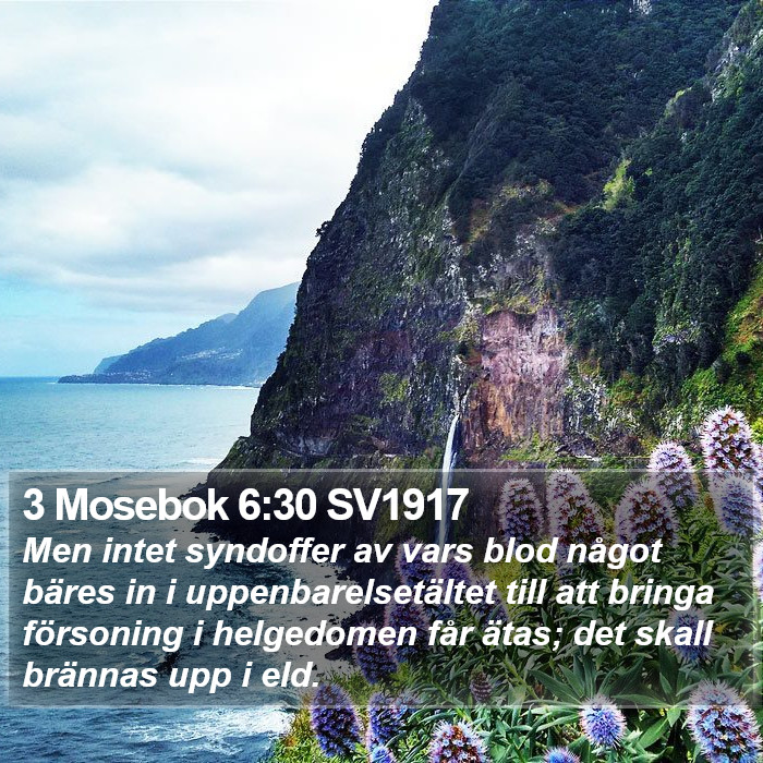 3 Mosebok 6:30 SV1917 Bible Study