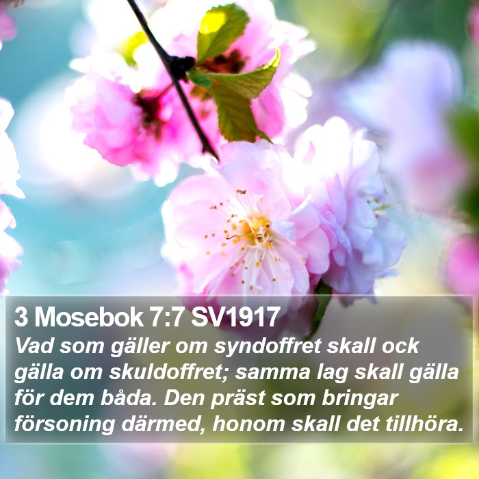 3 Mosebok 7:7 SV1917 Bible Study