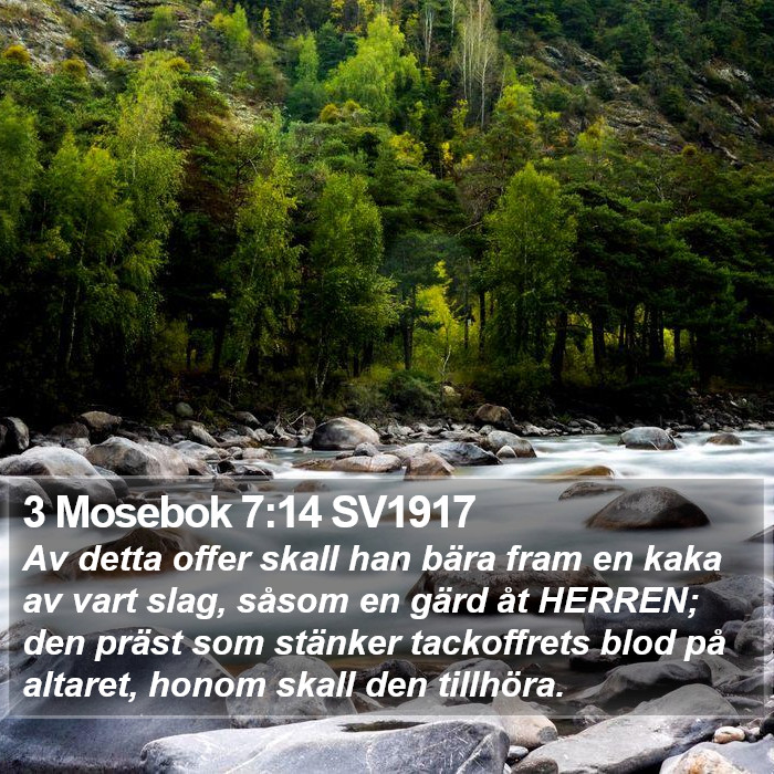 3 Mosebok 7:14 SV1917 Bible Study