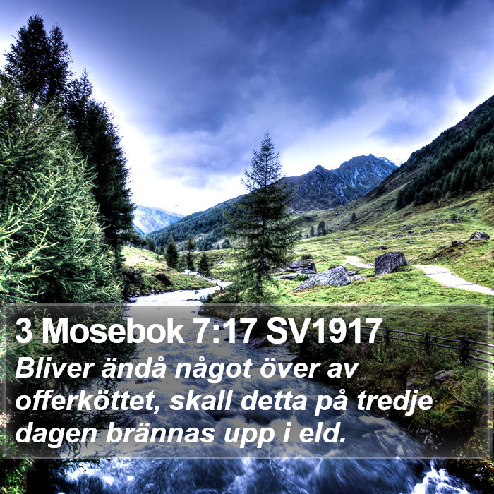 3 Mosebok 7:17 SV1917 Bible Study