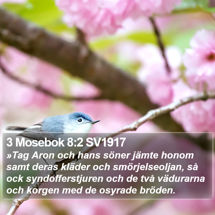 3 Mosebok 8:2 SV1917 Bible Study