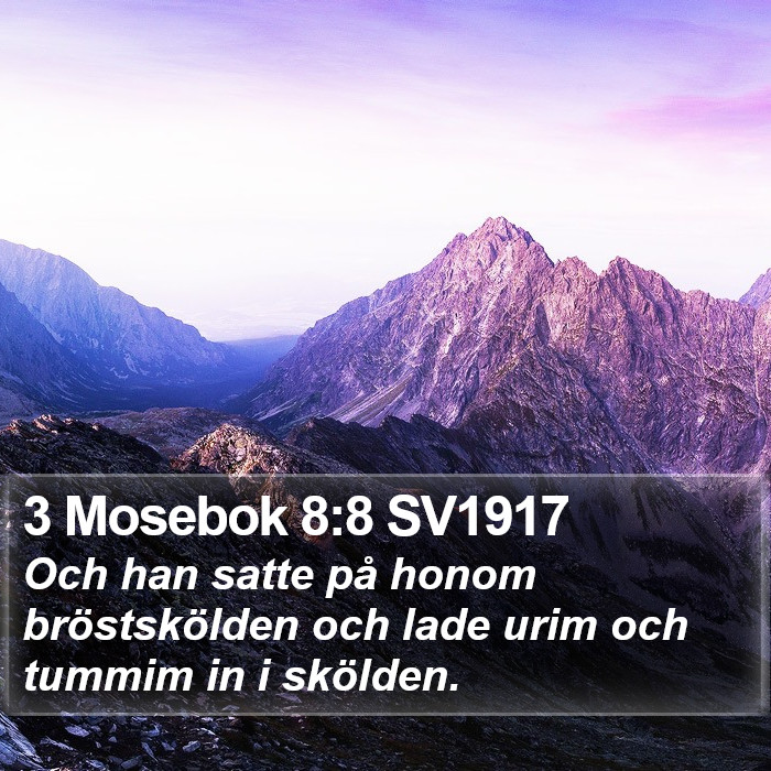 3 Mosebok 8:8 SV1917 Bible Study