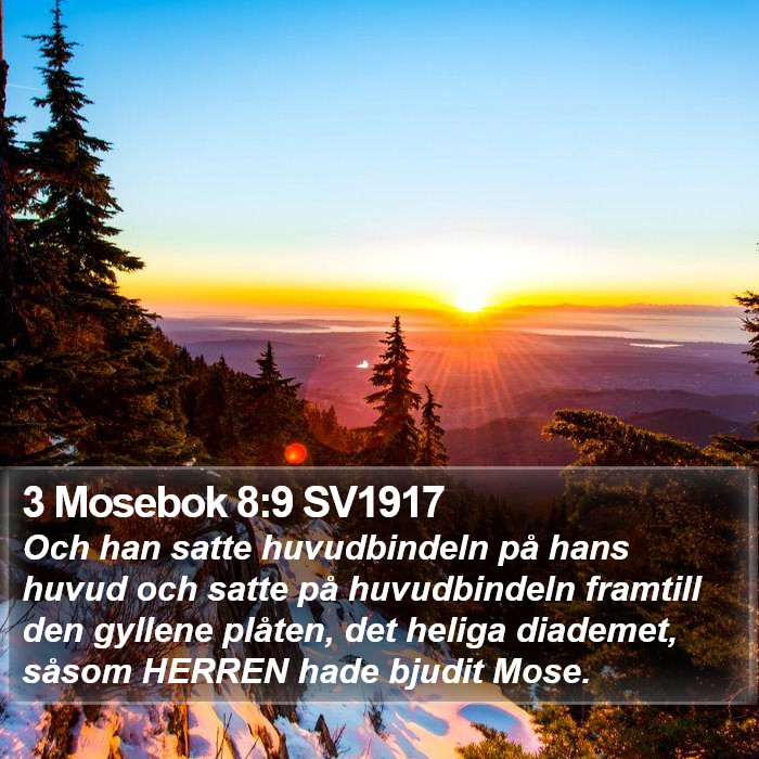 3 Mosebok 8:9 SV1917 Bible Study