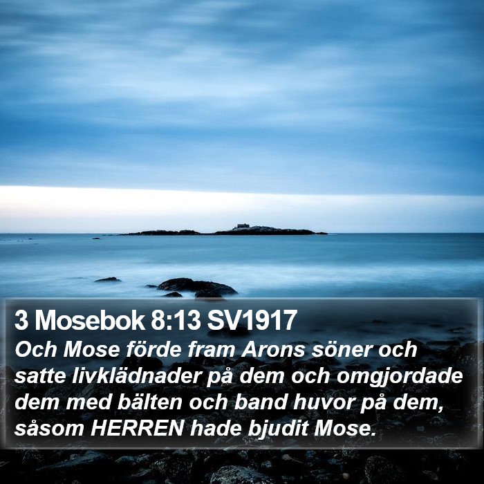 3 Mosebok 8:13 SV1917 Bible Study