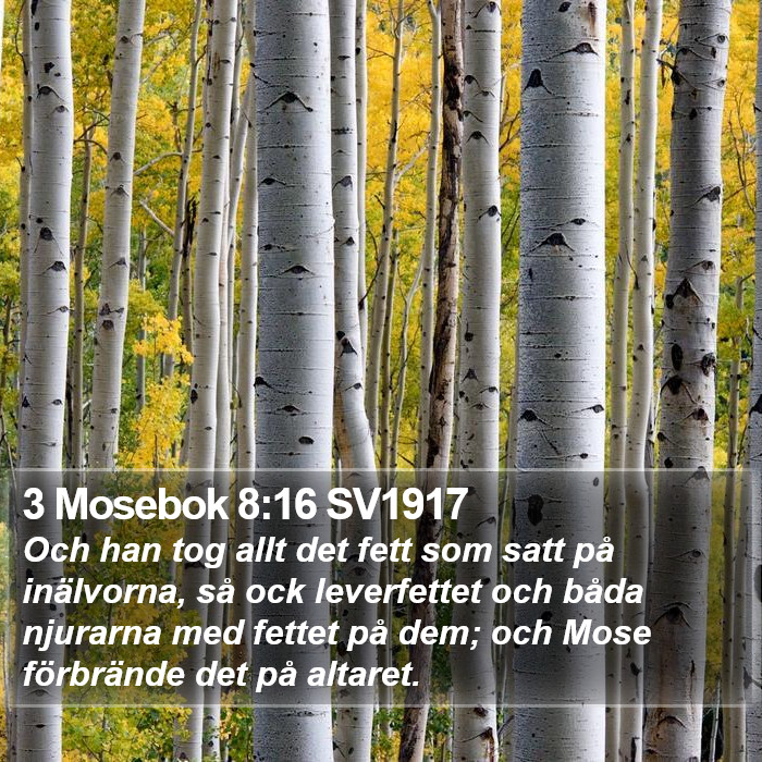 3 Mosebok 8:16 SV1917 Bible Study