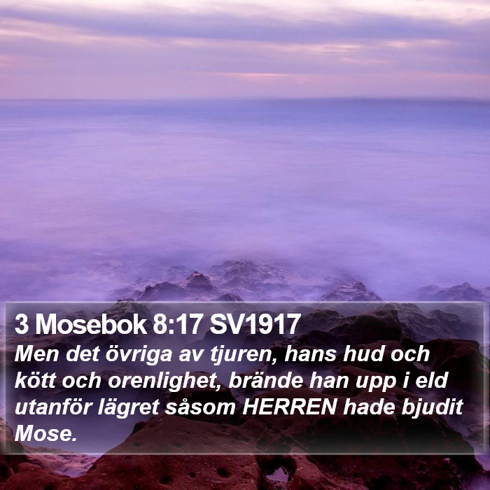 3 Mosebok 8:17 SV1917 Bible Study