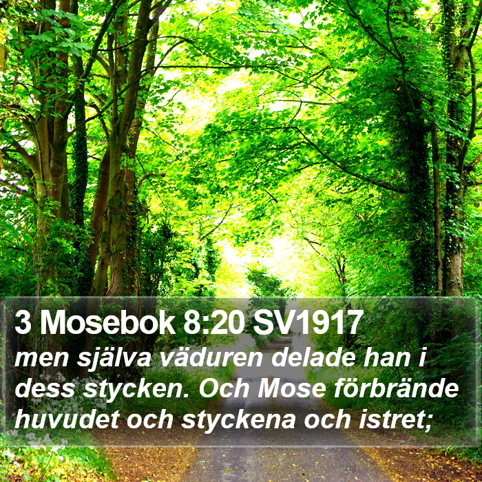 3 Mosebok 8:20 SV1917 Bible Study