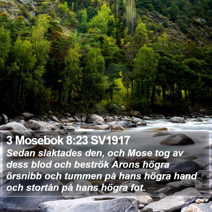 3 Mosebok 8:23 SV1917 Bible Study