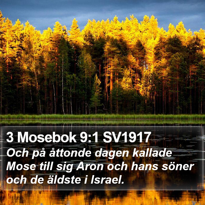 3 Mosebok 9:1 SV1917 Bible Study