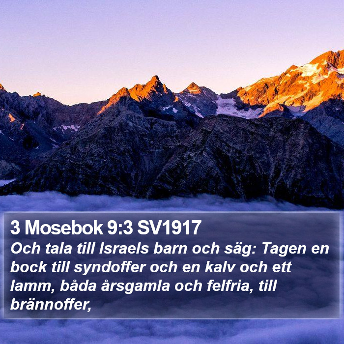 3 Mosebok 9:3 SV1917 Bible Study