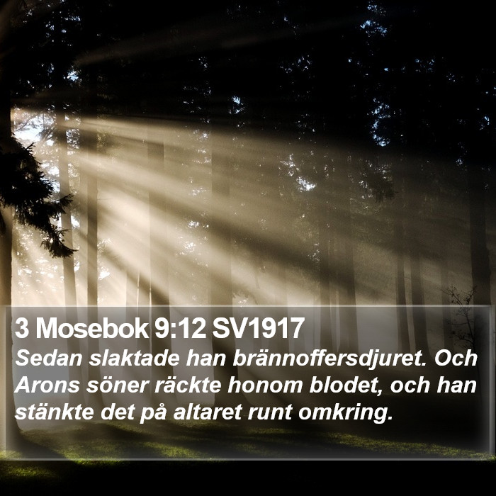 3 Mosebok 9:12 SV1917 Bible Study