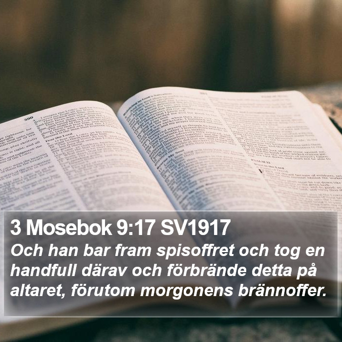 3 Mosebok 9:17 SV1917 Bible Study