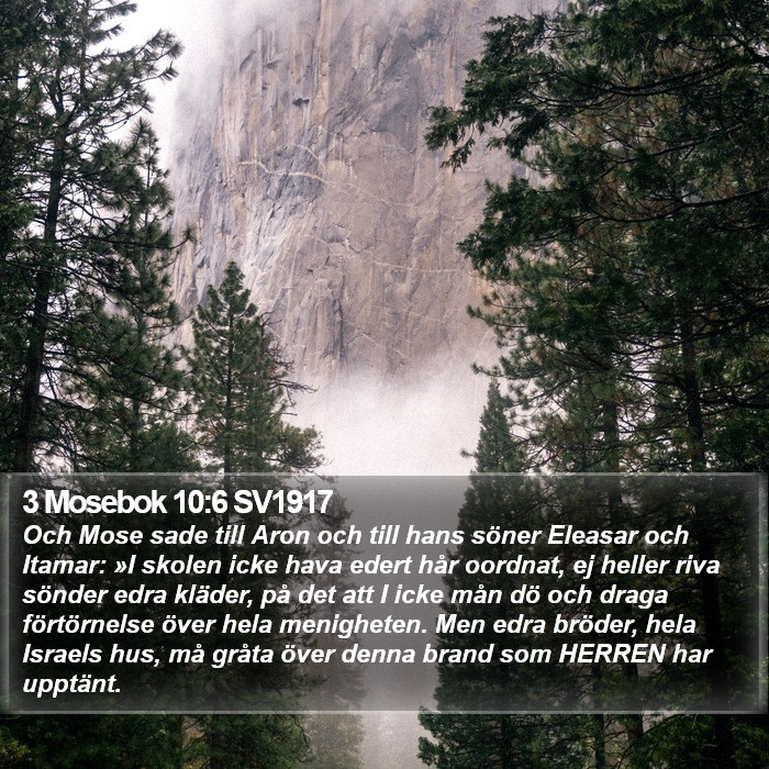3 Mosebok 10:6 SV1917 Bible Study