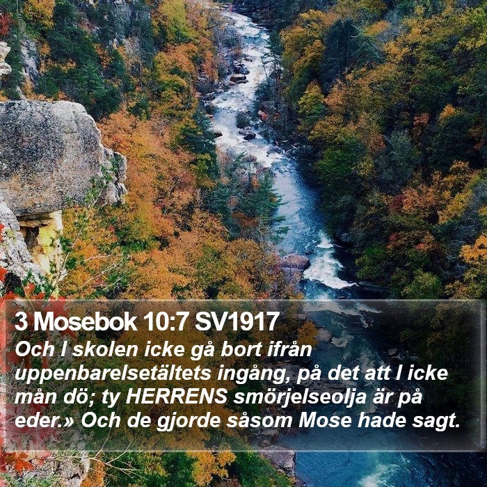 3 Mosebok 10:7 SV1917 Bible Study