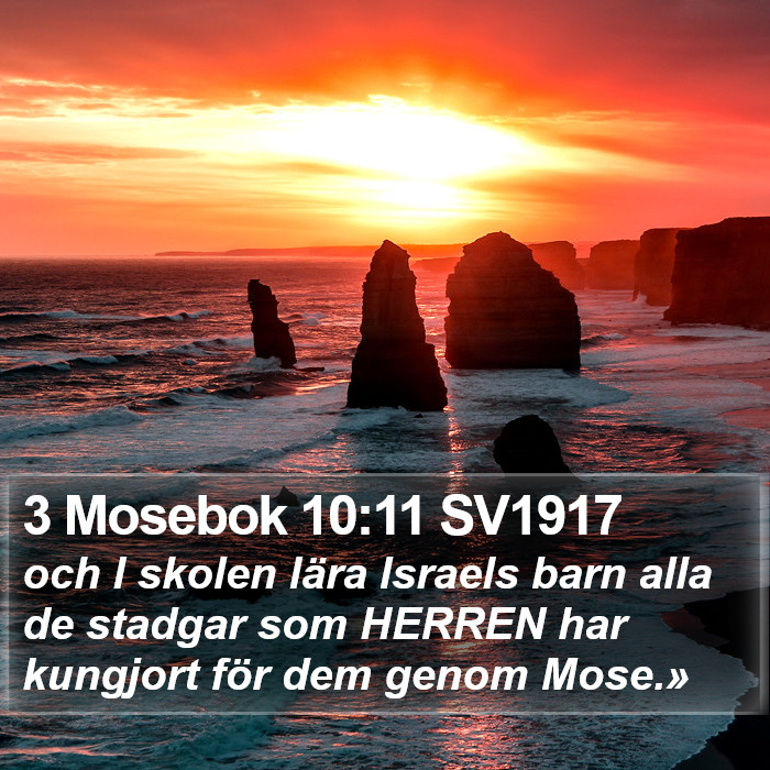 3 Mosebok 10:11 SV1917 Bible Study