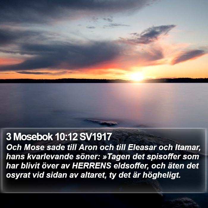3 Mosebok 10:12 SV1917 Bible Study
