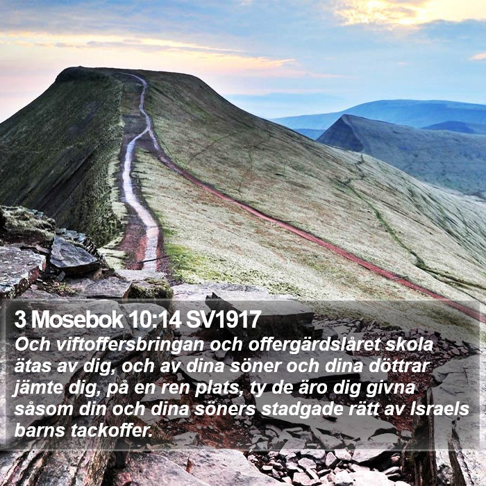 3 Mosebok 10:14 SV1917 Bible Study