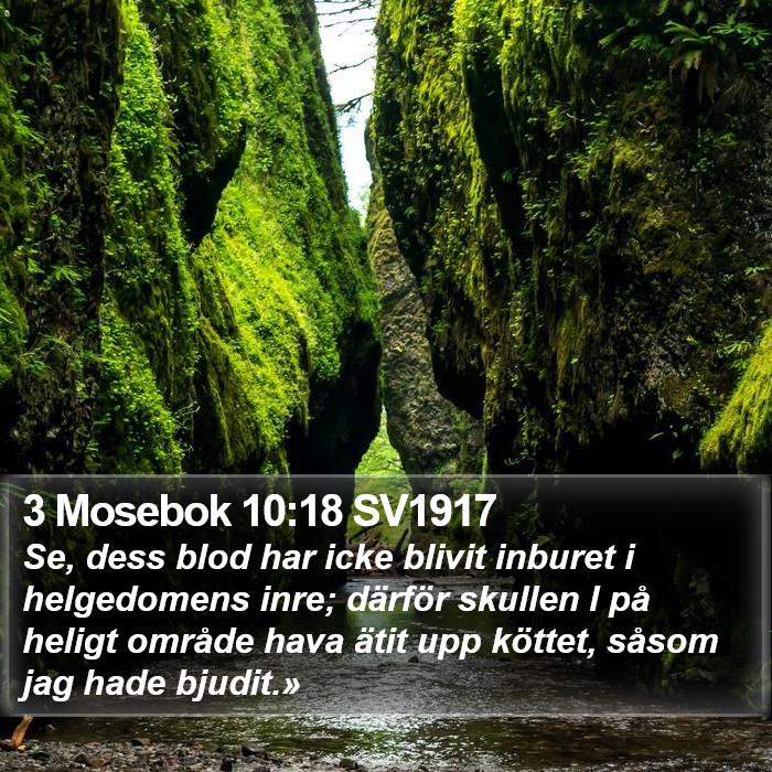 3 Mosebok 10:18 SV1917 Bible Study