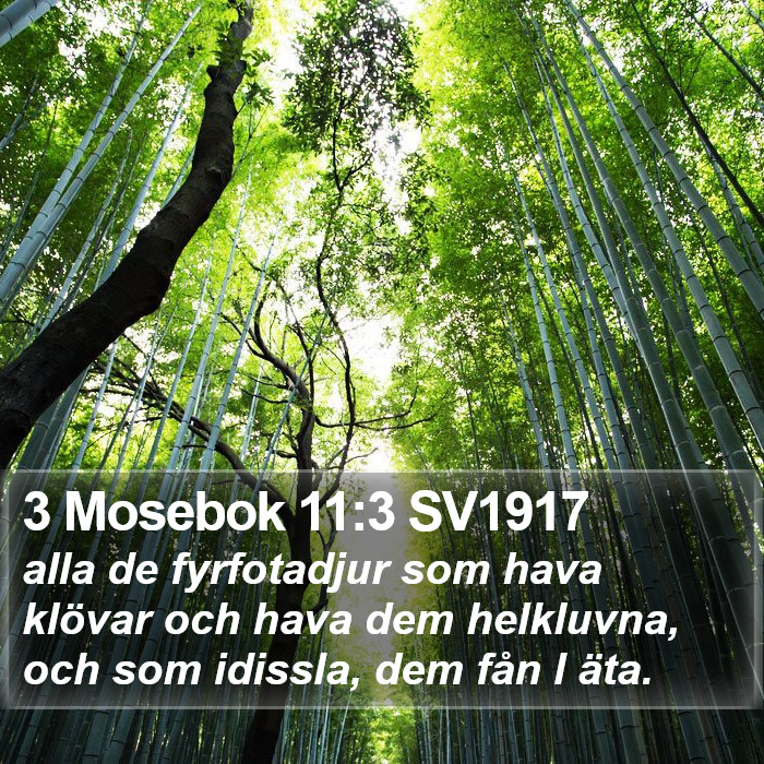 3 Mosebok 11:3 SV1917 Bible Study