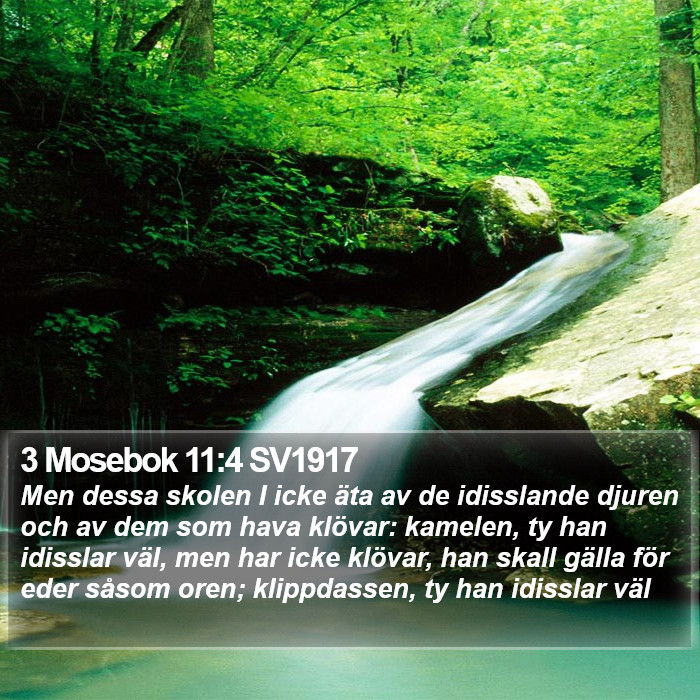3 Mosebok 11:4 SV1917 Bible Study