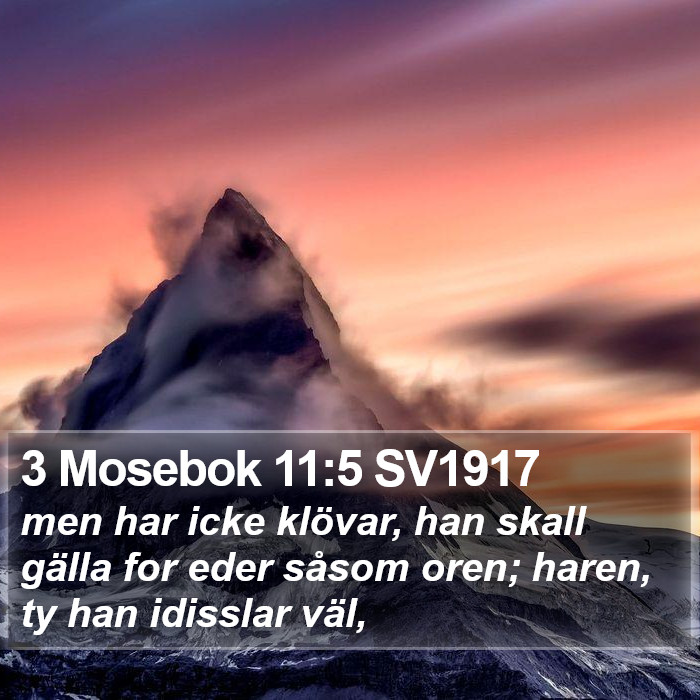 3 Mosebok 11:5 SV1917 Bible Study