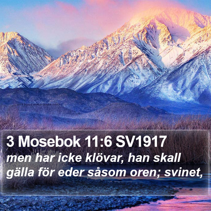 3 Mosebok 11:6 SV1917 Bible Study