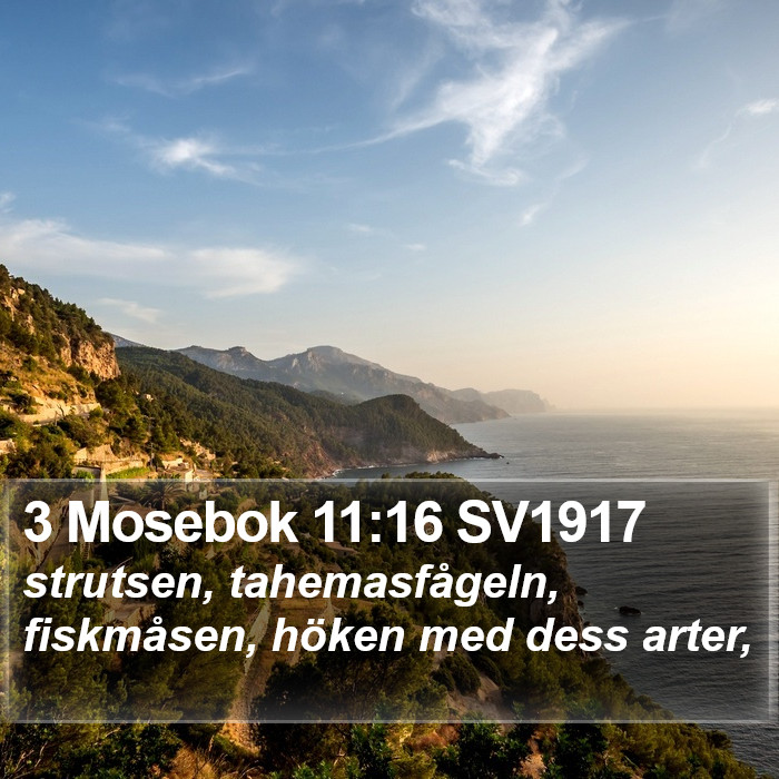 3 Mosebok 11:16 SV1917 Bible Study