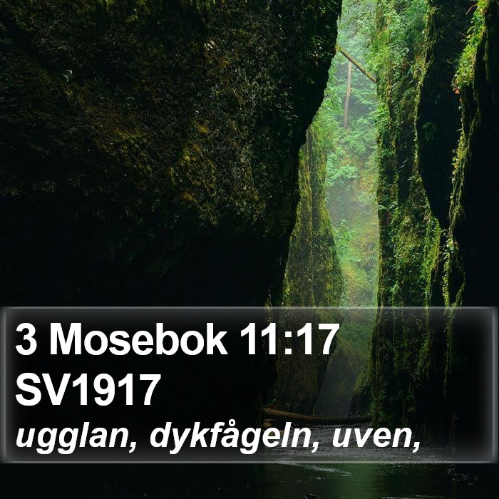 3 Mosebok 11:17 SV1917 Bible Study