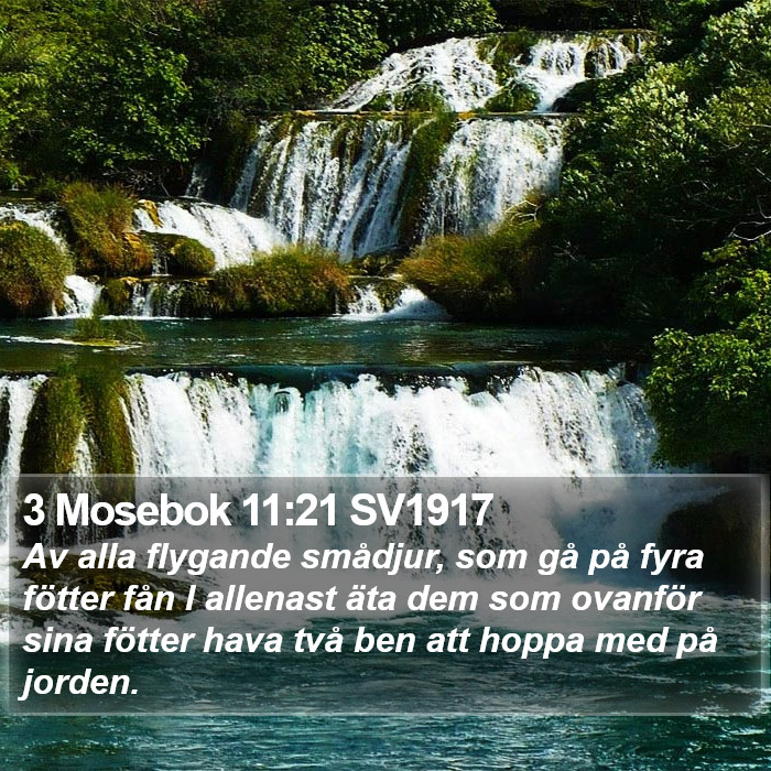 3 Mosebok 11:21 SV1917 Bible Study