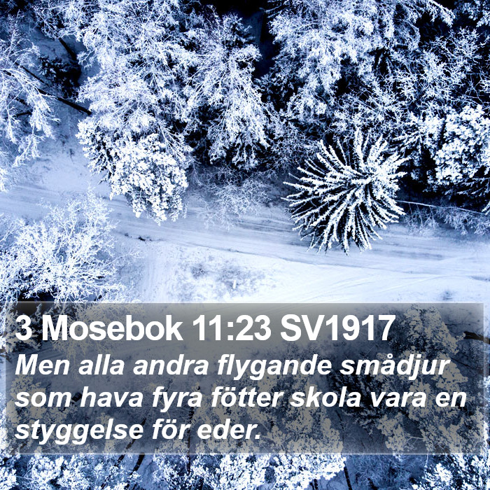 3 Mosebok 11:23 SV1917 Bible Study