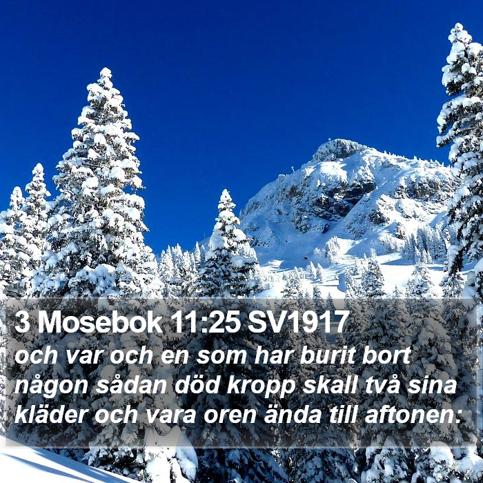 3 Mosebok 11:25 SV1917 Bible Study