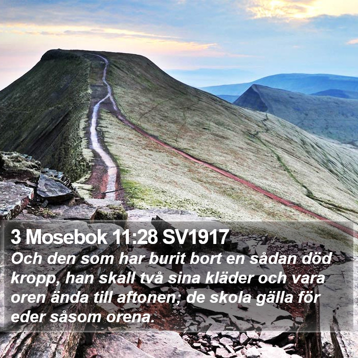 3 Mosebok 11:28 SV1917 Bible Study