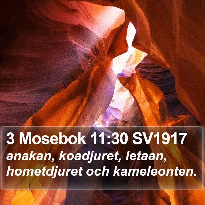 3 Mosebok 11:30 SV1917 Bible Study