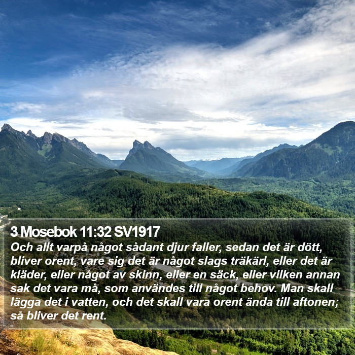 3 Mosebok 11:32 SV1917 Bible Study