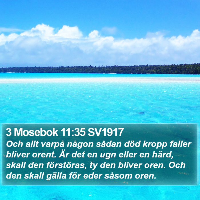 3 Mosebok 11:35 SV1917 Bible Study