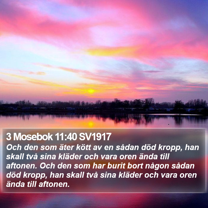 3 Mosebok 11:40 SV1917 Bible Study