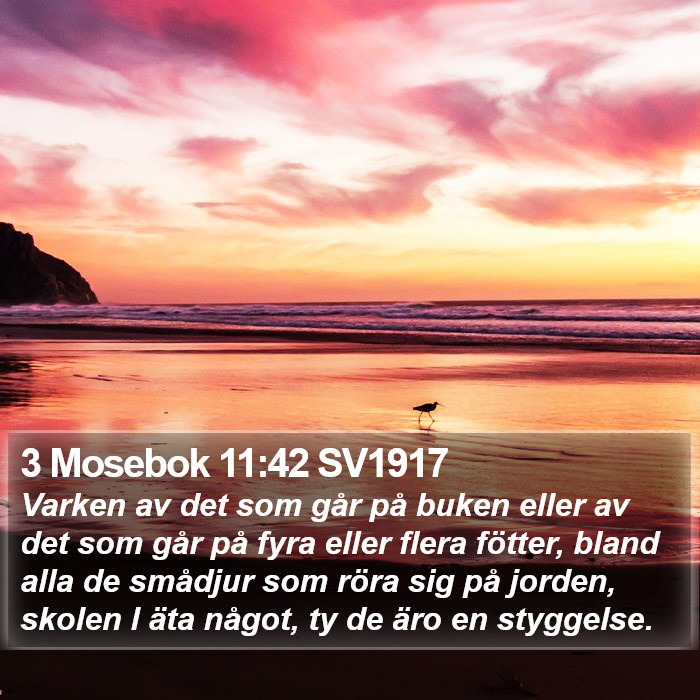 3 Mosebok 11:42 SV1917 Bible Study