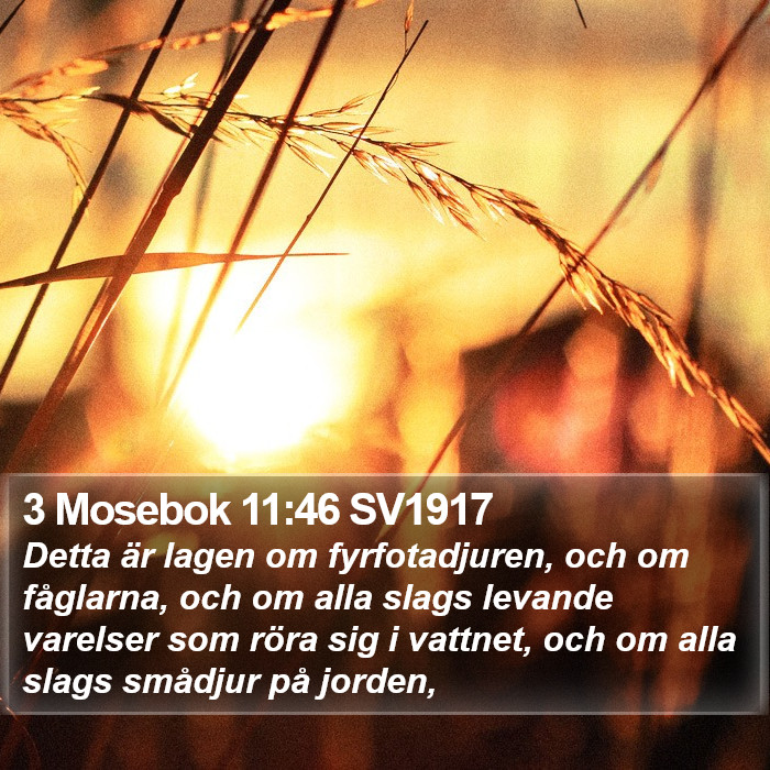 3 Mosebok 11:46 SV1917 Bible Study