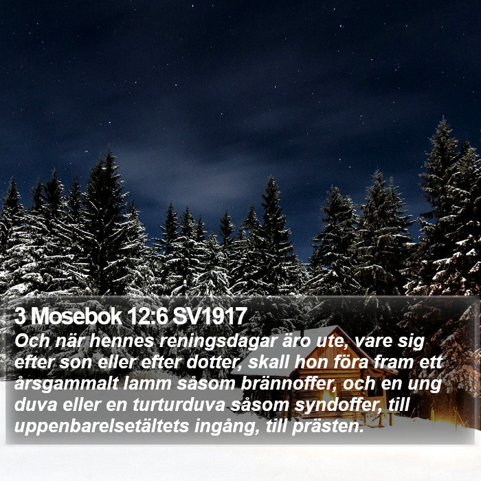 3 Mosebok 12:6 SV1917 Bible Study