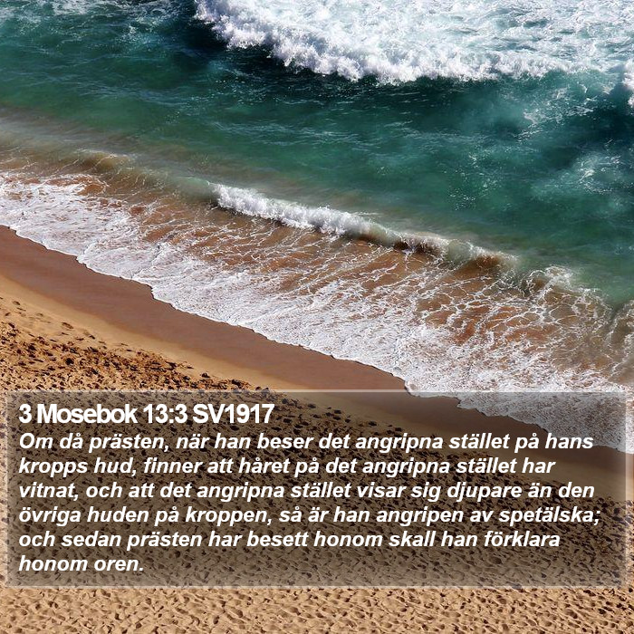 3 Mosebok 13:3 SV1917 Bible Study
