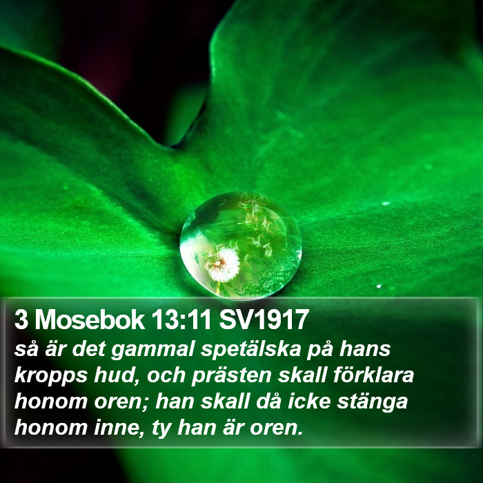 3 Mosebok 13:11 SV1917 Bible Study