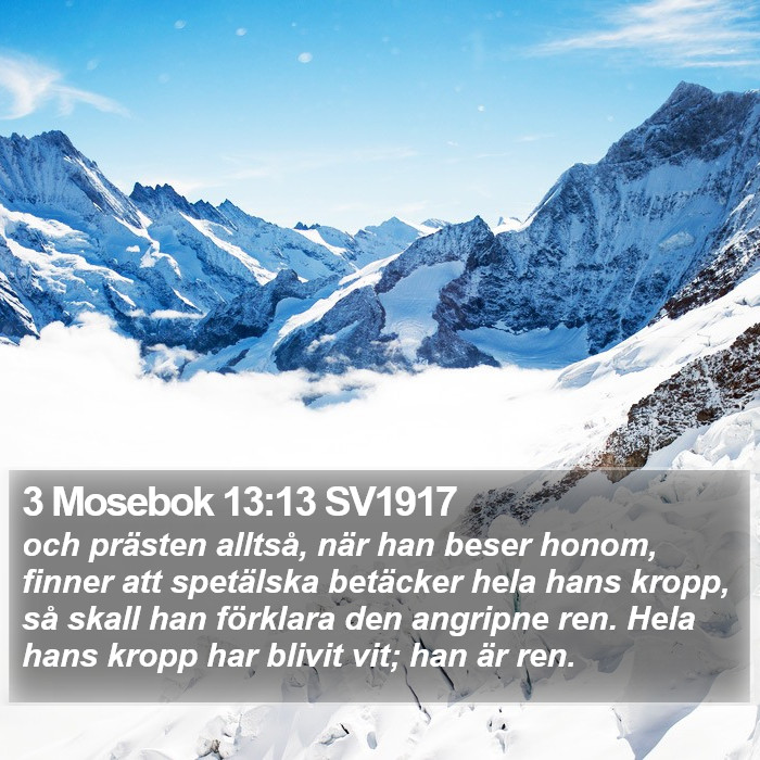 3 Mosebok 13:13 SV1917 Bible Study