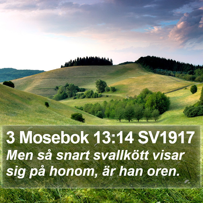 3 Mosebok 13:14 SV1917 Bible Study