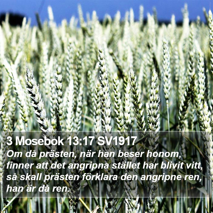 3 Mosebok 13:17 SV1917 Bible Study