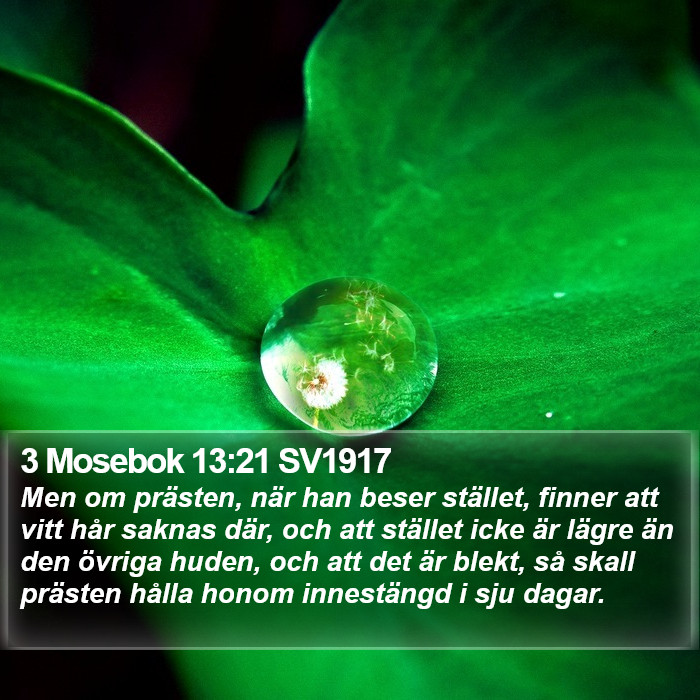 3 Mosebok 13:21 SV1917 Bible Study