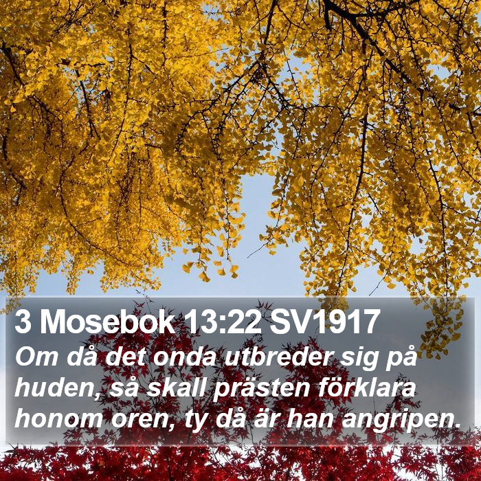 3 Mosebok 13:22 SV1917 Bible Study