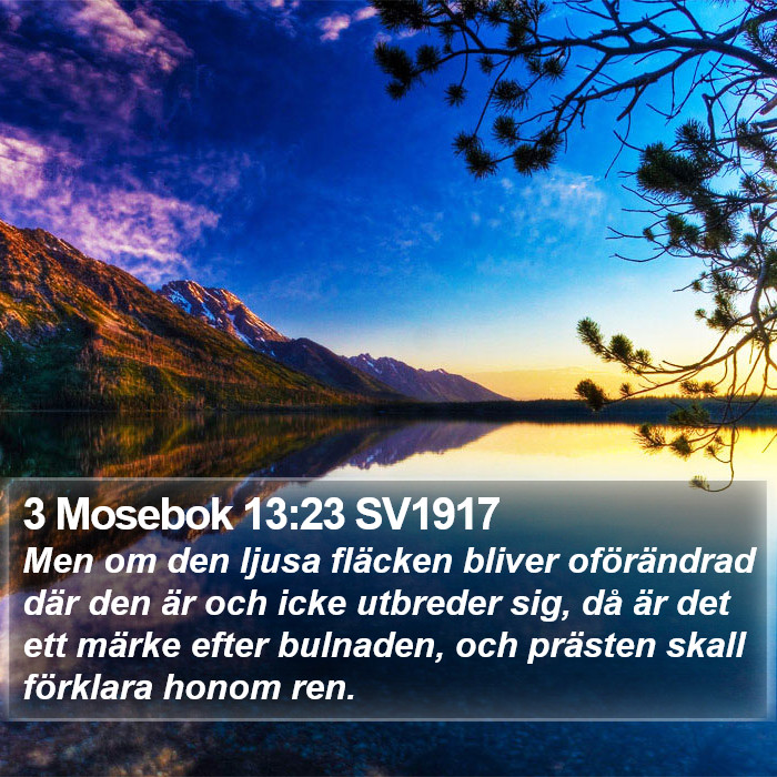 3 Mosebok 13:23 SV1917 Bible Study